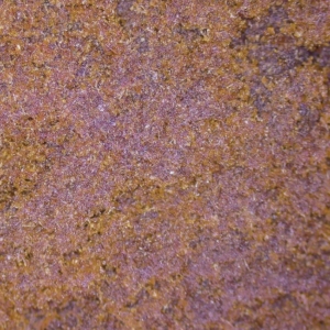 Poisson Résine - Le Spliff Français Frutti Cbg 29% - Résine CBD Résine - AquaCanna