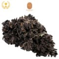 Blood Orange Diesel CBD Greenhouse 10-14% 3e Platinum Cup 2026 - Fleur CBD Les Chanvriers Normands Normandie AquaCanna
