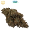 NEMO IHC CBD aquaponie DRZ Indoor 16% - Fleur CBD AquaCanna Gironde