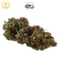 Very Cherry Berry CBD Outdoor Bio 7-13% - Fleur CBD Outdoor - AquaCanna