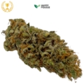 Lemon Grace CBD Indoor 1re Platinum Cup 2025 14-16% - Fleur CBD Happy Pousse Rhône AuvergneCanna