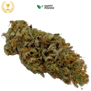 Lemon Grace CBD Indoor 1re Platinum Cup 2025 14-16% - Fleur CBD Happy Pousse Rhône AuvergneCanna