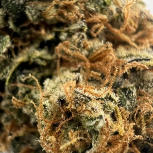 Lemon Grace CBD Indoor 1re Platinum Cup 2025 14-16% - Fleur CBD Happy Pousse Rhône AuvergneCanna