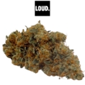 Citron OG CBD Indoor 16-18% Primée Spannabis Cup 2026 - Fleur CBD LOUD CO Pyrénées-Atlantiques AquaCanna