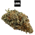 Daïfuku CBD Indoor Living Soil 16-18% - Fleur CBD Premium LOUD CO Pyrénées-Atlantiques AquaCanna