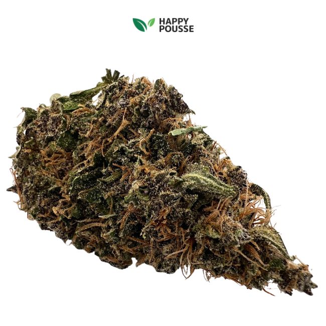Forbidden Fruit CBD – Indoor