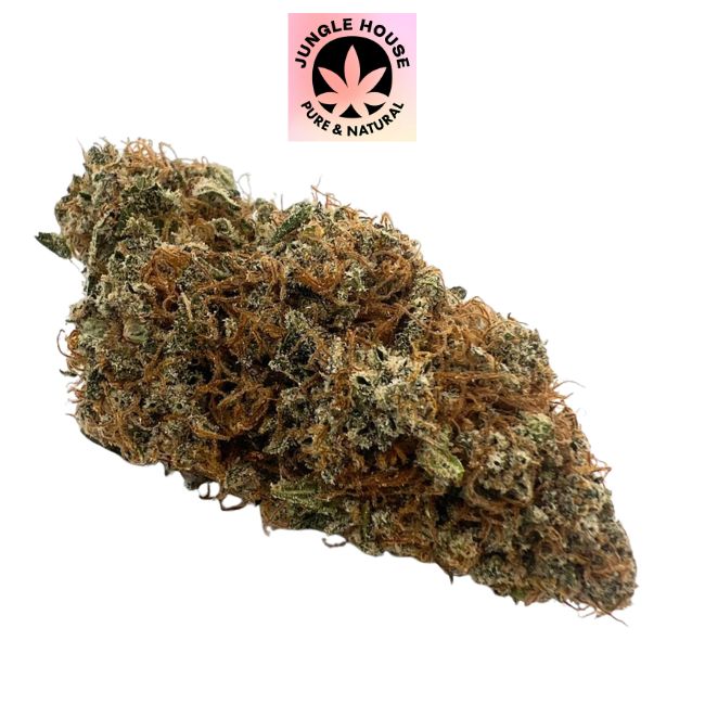 Berry Pebbles CBD – Indoor Sol Vivant