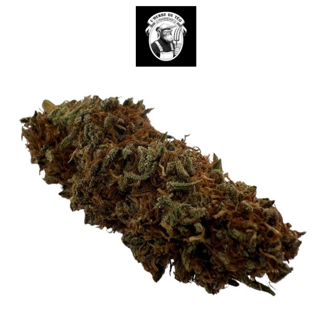 Cream Puff CBD – Outdoor