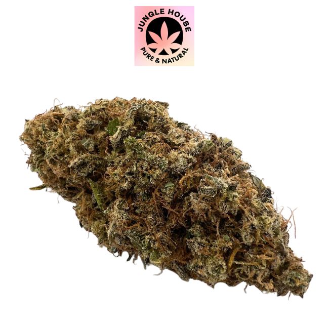 Lemon Candy CBD – Indoor Sol Vivant