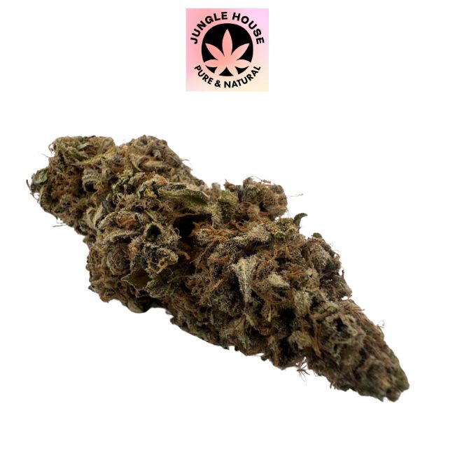 Purple Goat OG CBD – Indoor Sol Vivant