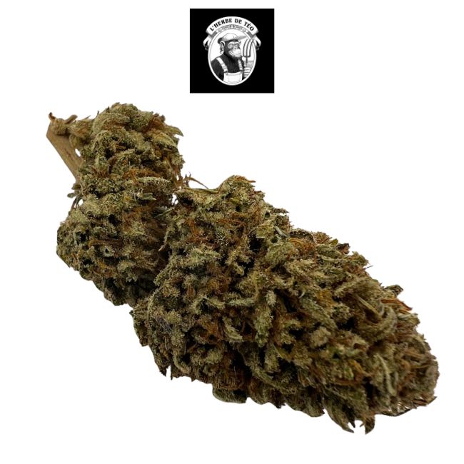 Skunk Jam CBD – Outdoor