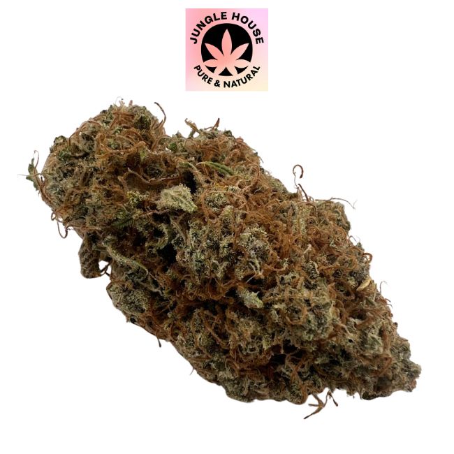 Yuzu CBD – Indoor Sol Vivant